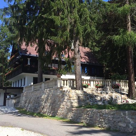 Hunting Lodge Vitkov Sokolov Kültér fotó