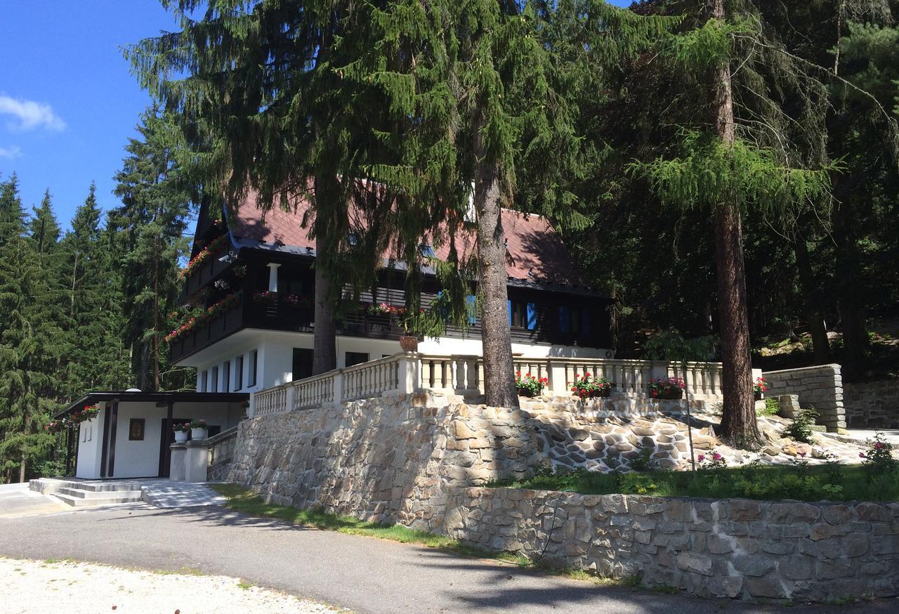Hunting Lodge Vitkov Sokolov Kültér fotó